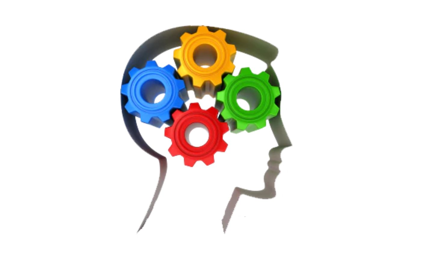 Adult Learning Physical Skills